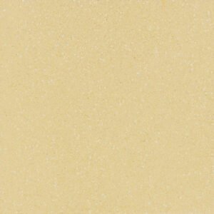 Plain E121W